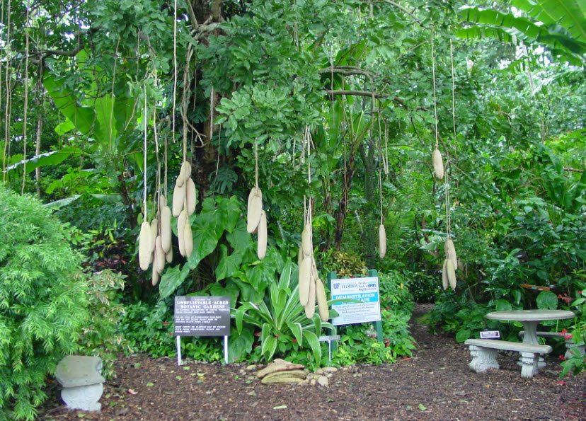 Unbelievable Acres Botanic Garden, United States